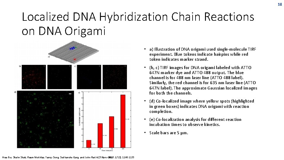 18 Localized DNA Hybridization Chain Reactions on DNA Origami • a) Illustration of DNA 18 Localized DNA Hybridization Chain Reactions on DNA Origami • a) Illustration of DNA