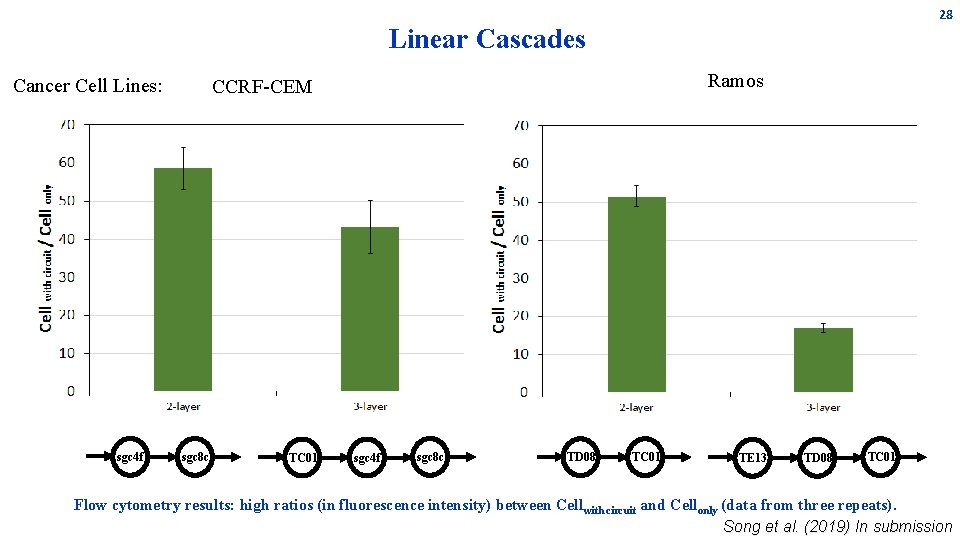 28 Linear Cascades Cancer Cell Lines: sgc 4 f Ramos CCRF-CEM sgc 8 c 28 Linear Cascades Cancer Cell Lines: sgc 4 f Ramos CCRF-CEM sgc 8 c