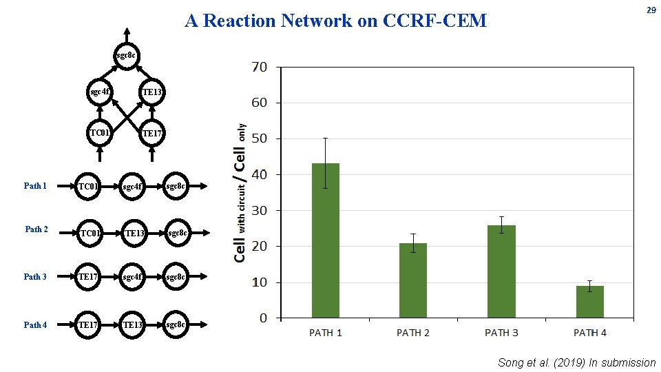 A Reaction Network on CCRF-CEM 29 sgc 8 c sgc 4 f TE 13 A Reaction Network on CCRF-CEM 29 sgc 8 c sgc 4 f TE 13