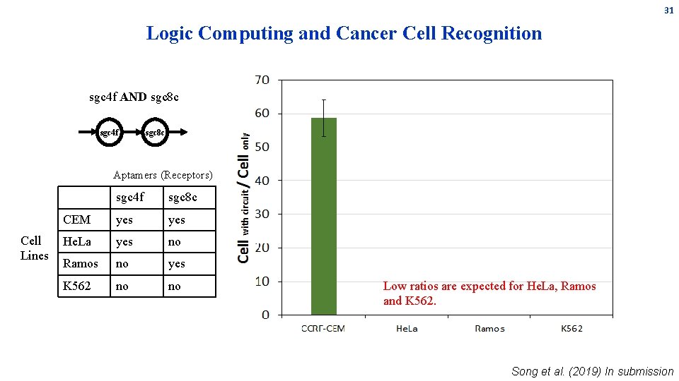 31 Logic Computing and Cancer Cell Recognition sgc 4 f AND sgc 8 c 31 Logic Computing and Cancer Cell Recognition sgc 4 f AND sgc 8 c