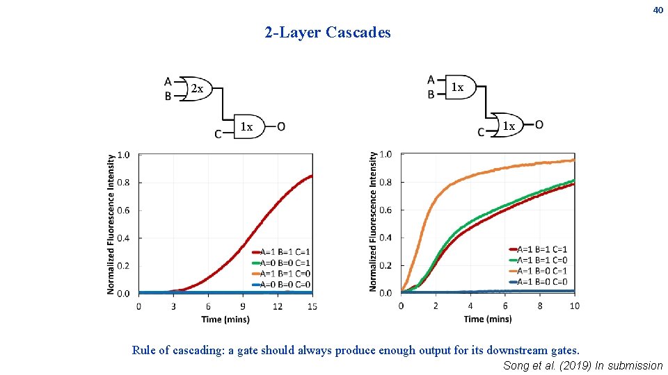 40 2 -Layer Cascades 1 x 2 x 1 x 1 x Rule of 40 2 -Layer Cascades 1 x 2 x 1 x 1 x Rule of