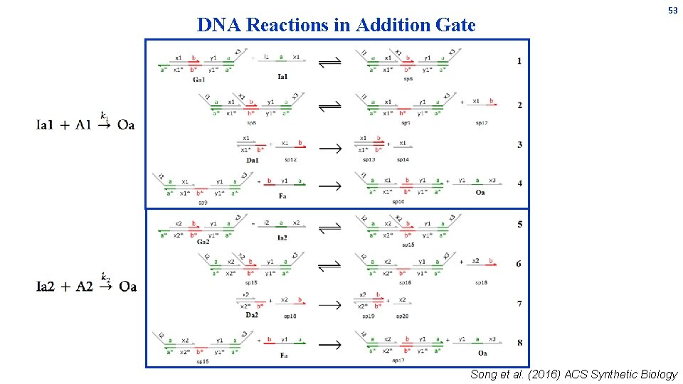 DNA Reactions in Addition Gate 53 Song et al. (2016) ACS Synthetic Biology DNA Reactions in Addition Gate 53 Song et al. (2016) ACS Synthetic Biology