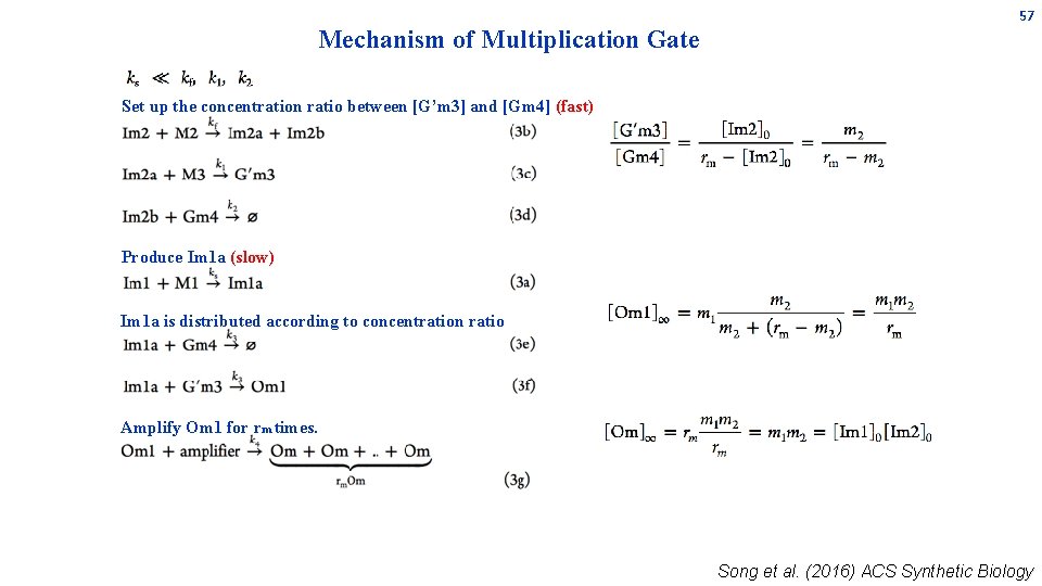 Mechanism of Multiplication Gate 57 Set up the concentration ratio between [G’m 3] and