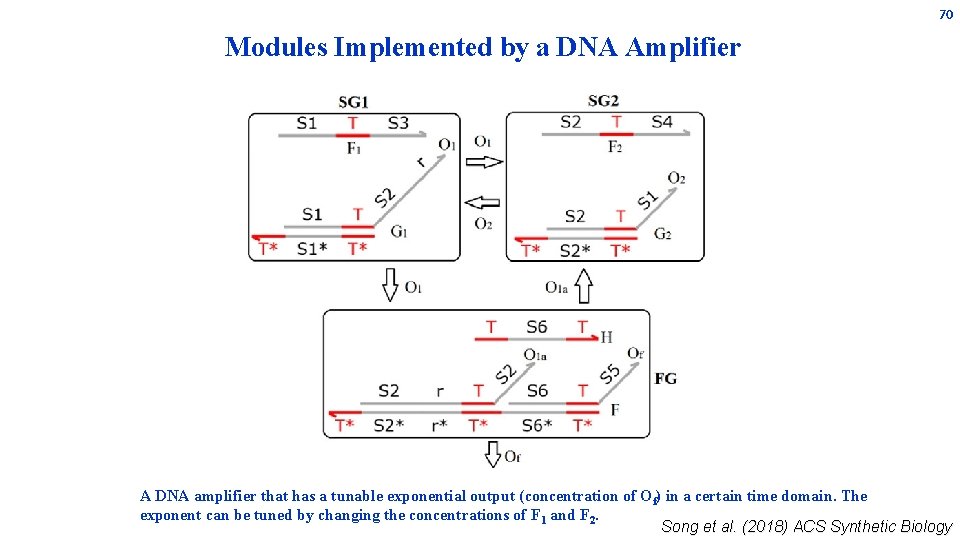 70 Modules Implemented by a DNA Amplifier A DNA amplifier that has a tunable 70 Modules Implemented by a DNA Amplifier A DNA amplifier that has a tunable