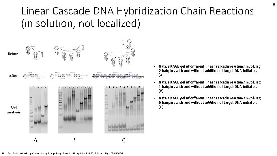 dna computing john reif dept