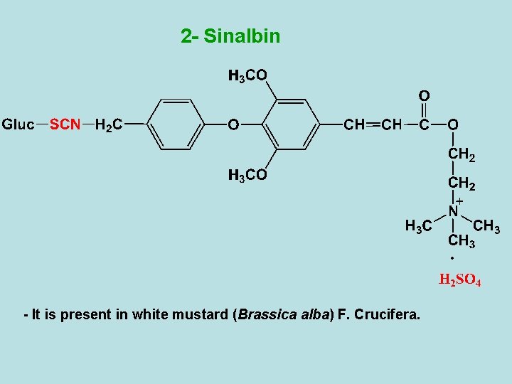 2 - Sinalbin - It is present in white mustard (Brassica alba) F. Crucifera.