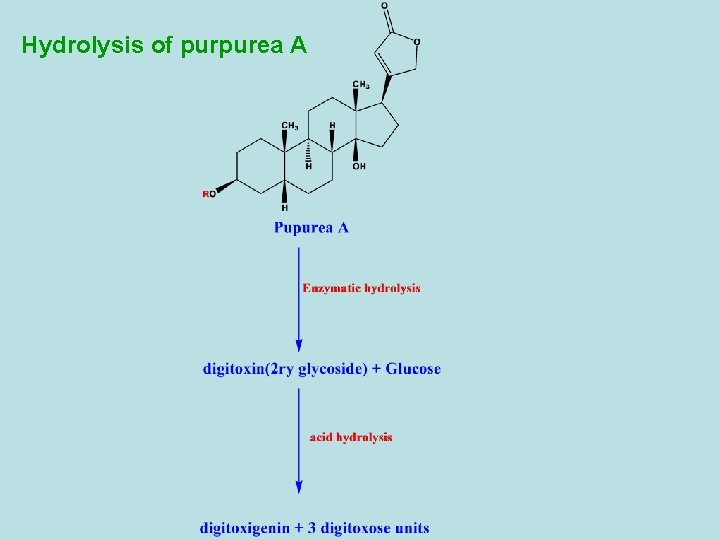 Hydrolysis of purpurea A 