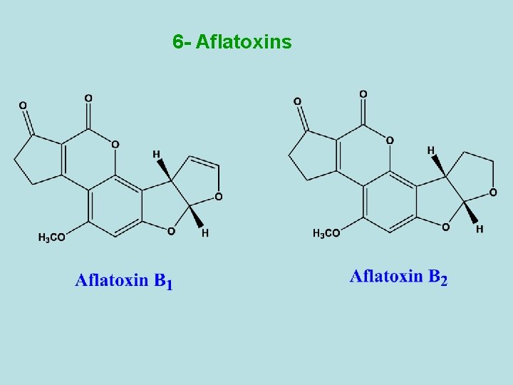 6 - Aflatoxins 