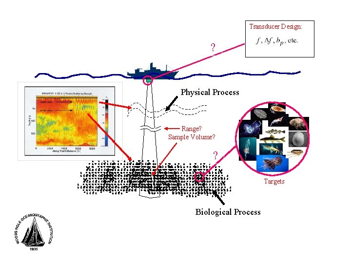 Transducer Design: ? Physical Process Range? Sample Volume? ? Targets Biological Process 