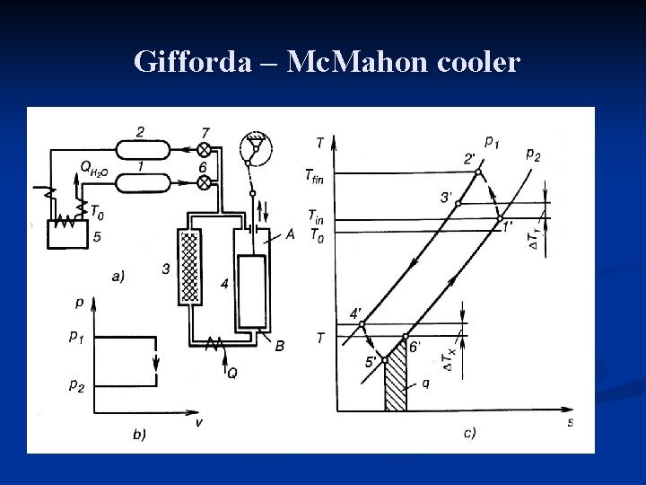Gifforda – Mc. Mahon cooler 