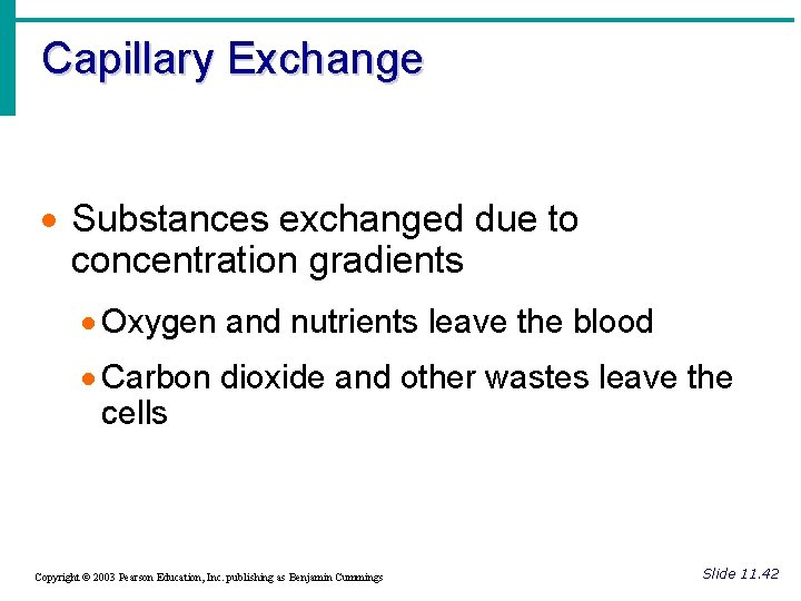Capillary Exchange · Substances exchanged due to concentration gradients · Oxygen and nutrients leave Capillary Exchange · Substances exchanged due to concentration gradients · Oxygen and nutrients leave