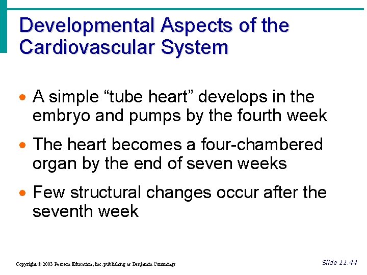 Developmental Aspects of the Cardiovascular System · A simple “tube heart” develops in the Developmental Aspects of the Cardiovascular System · A simple “tube heart” develops in the