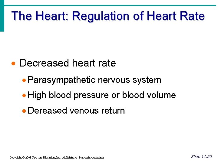 The Heart: Regulation of Heart Rate · Decreased heart rate · Parasympathetic nervous system The Heart: Regulation of Heart Rate · Decreased heart rate · Parasympathetic nervous system
