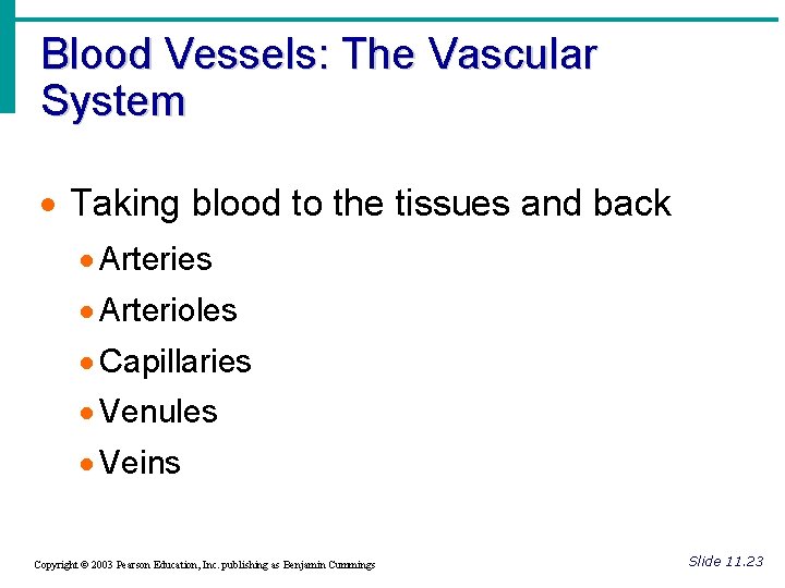 Blood Vessels: The Vascular System · Taking blood to the tissues and back · Blood Vessels: The Vascular System · Taking blood to the tissues and back ·