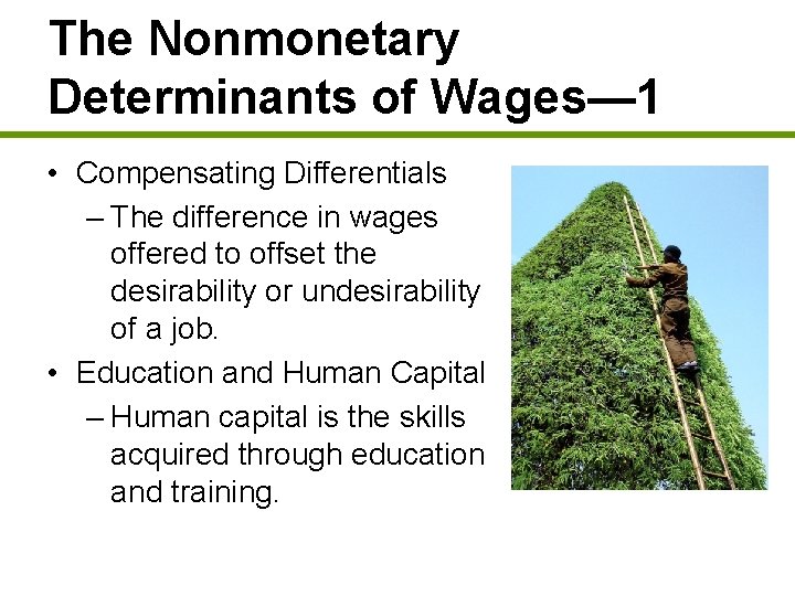 The Nonmonetary Determinants of Wages— 1 • Compensating Differentials – The difference in wages