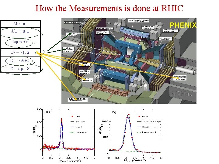 How the Measurements is done at RHIC Meson J/ψ e e D 0 -->