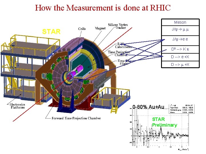 How the Measurement is done at RHIC Meson J/ψ STAR J/ψ e e D How the Measurement is done at RHIC Meson J/ψ STAR J/ψ e e D
