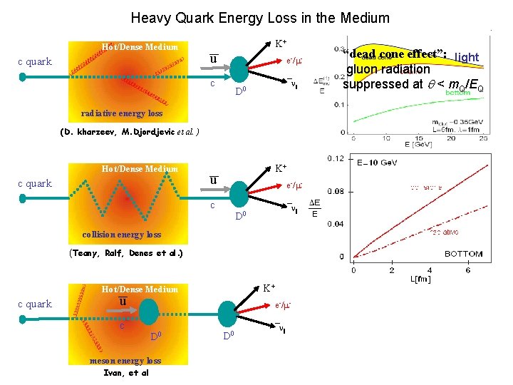 Heavy Quark Energy Loss in the Medium Hot/Dense Medium c quark K+ u e-/