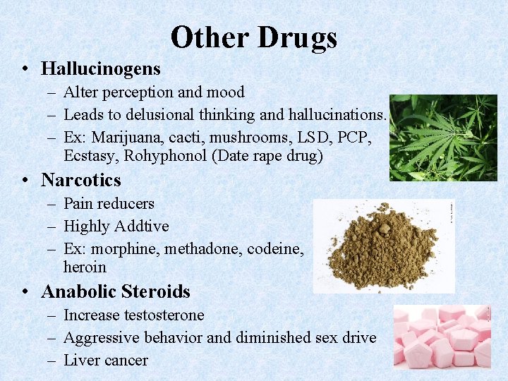 Other Drugs • Hallucinogens – Alter perception and mood – Leads to delusional thinking