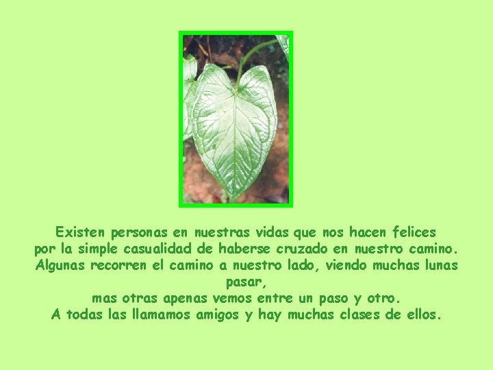 Existen personas en nuestras vidas que nos hacen felices por la simple casualidad de Existen personas en nuestras vidas que nos hacen felices por la simple casualidad de
