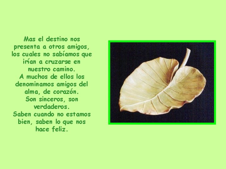 Mas el destino nos presenta a otros amigos, los cuales no sabíamos que irían Mas el destino nos presenta a otros amigos, los cuales no sabíamos que irían