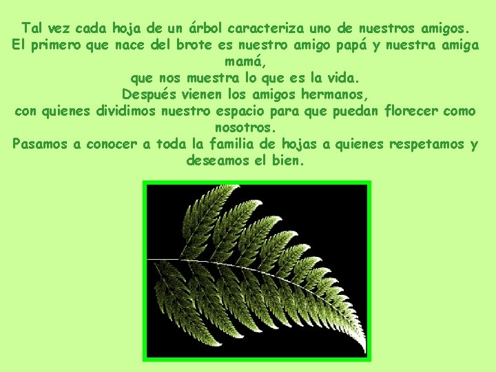 Tal vez cada hoja de un árbol caracteriza uno de nuestros amigos. El primero Tal vez cada hoja de un árbol caracteriza uno de nuestros amigos. El primero
