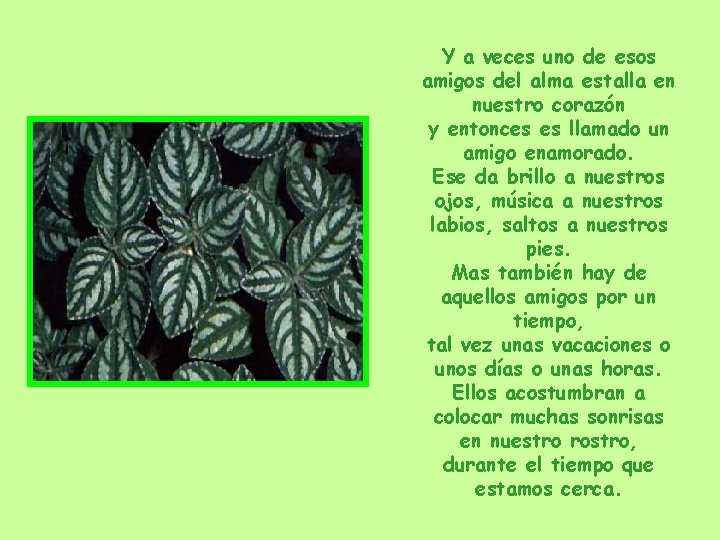 Y a veces uno de esos amigos del alma estalla en nuestro corazón y Y a veces uno de esos amigos del alma estalla en nuestro corazón y