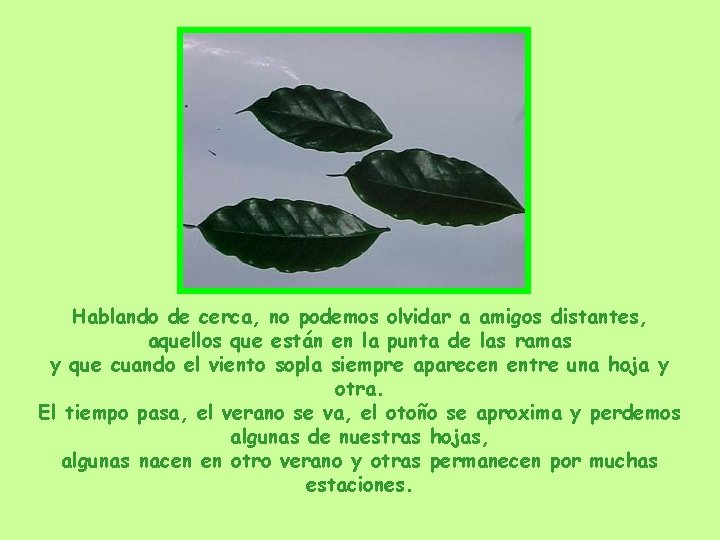 Hablando de cerca, no podemos olvidar a amigos distantes, aquellos que están en la Hablando de cerca, no podemos olvidar a amigos distantes, aquellos que están en la
