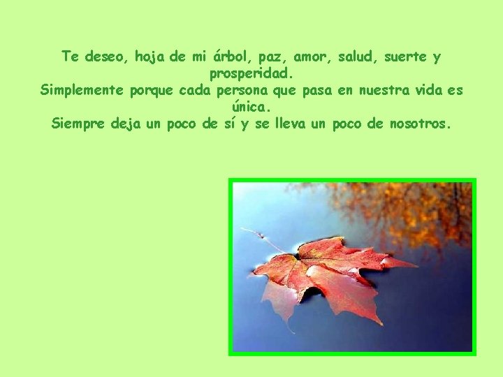 Te deseo, hoja de mi árbol, paz, amor, salud, suerte y prosperidad. Simplemente porque Te deseo, hoja de mi árbol, paz, amor, salud, suerte y prosperidad. Simplemente porque