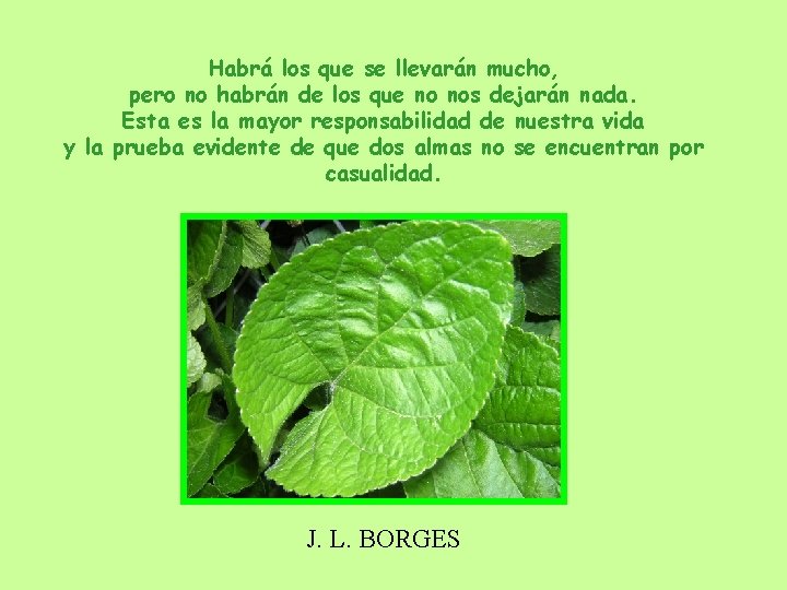 Habrá los que se llevarán mucho, pero no habrán de los que no nos Habrá los que se llevarán mucho, pero no habrán de los que no nos