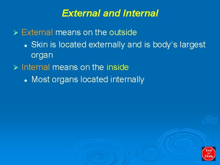 External and Internal External means on the outside l Skin is located externally and