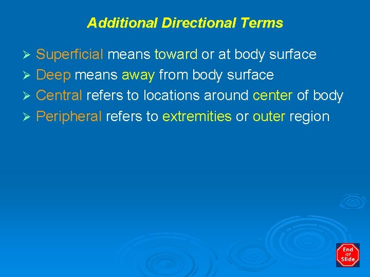 Additional Directional Terms Superficial means toward or at body surface Ø Deep means away