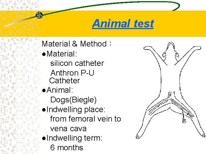 Animal test Material & Method： ●Material: silicon catheter Anthron P-U Catheter ●Animal: Dogs(Biegle) ●Indwelling