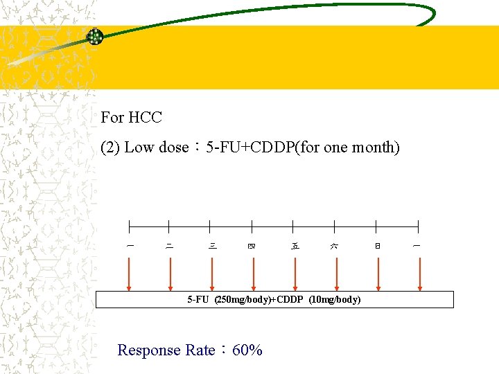 For HCC (2) Low dose： 5 -FU+CDDP(for one month) 一 二 三 四 五