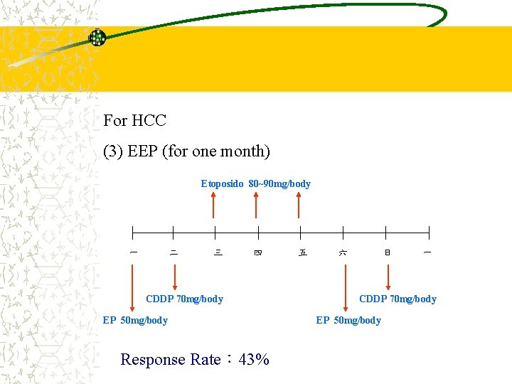 For HCC (3) EEP (for one month) Etoposido 80~90 mg/body 一 二 三 四