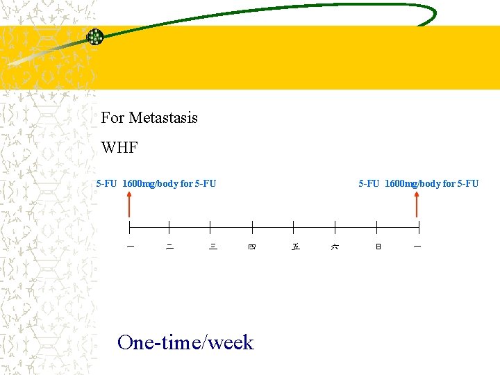 For Metastasis WHF 5 -FU 1600 mg/body for 5 -FU 一 二 三 5