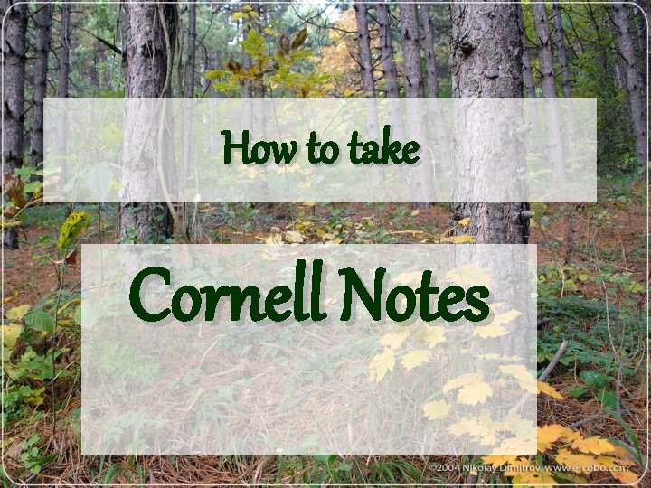 How to take Cornell Notes 