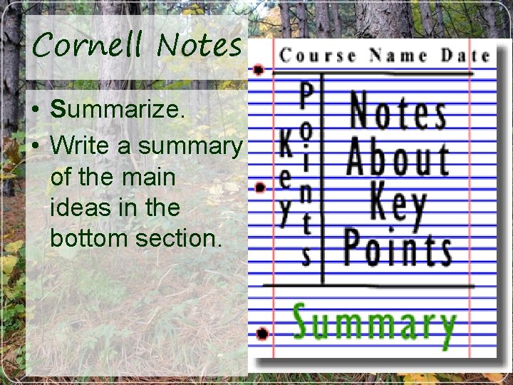 Cornell Notes • Summarize. • Write a summary of the main ideas in the