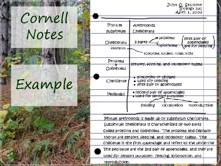 Cornell Notes Example 