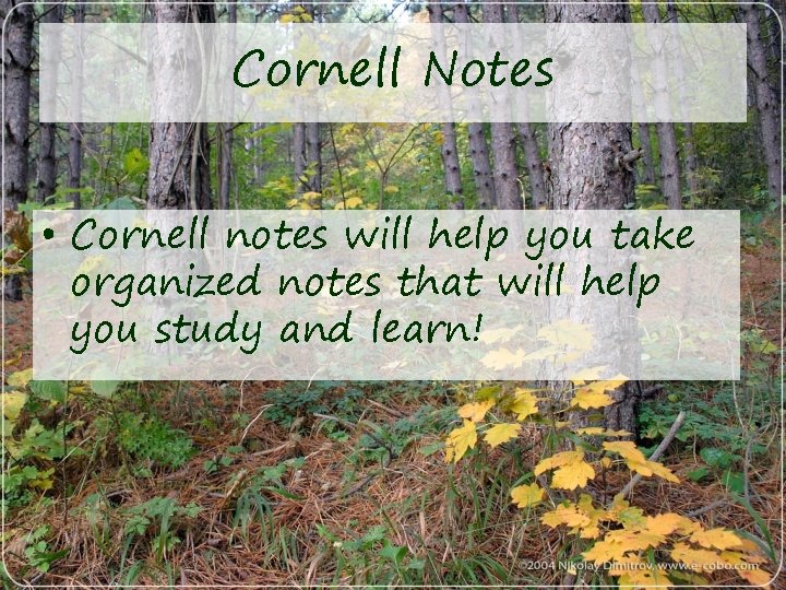 Cornell Notes • Cornell notes will help you take organized notes that will help