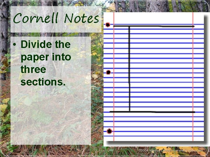 Cornell Notes • Divide the paper into three sections. 