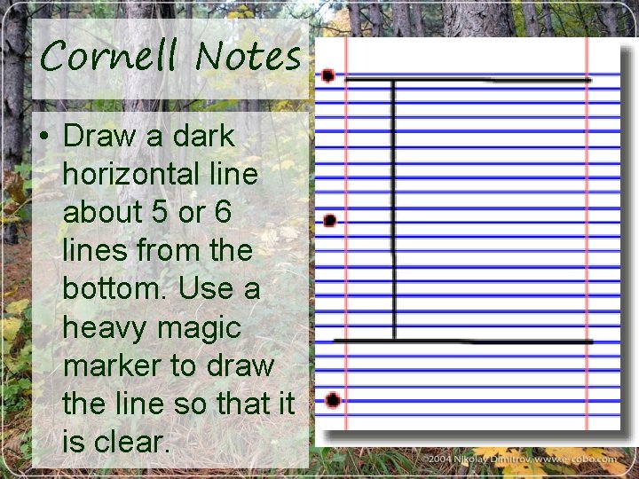 Cornell Notes • Draw a dark horizontal line about 5 or 6 lines from