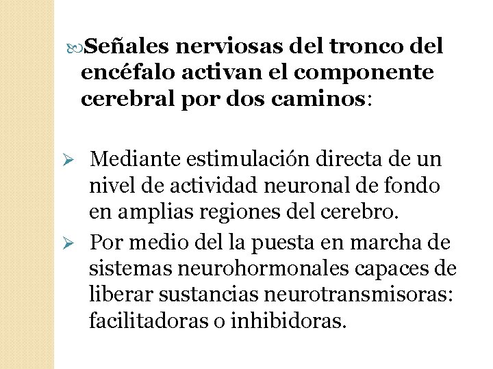  Señales nerviosas del tronco del encéfalo activan el componente cerebral por dos caminos: