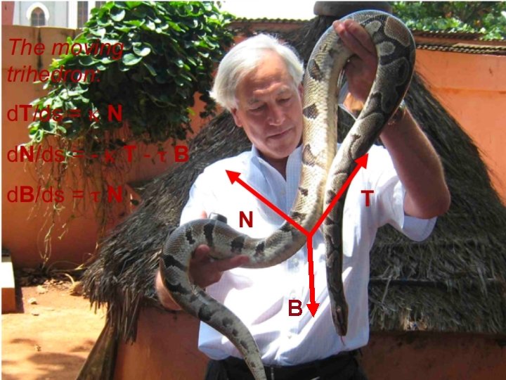 B B
