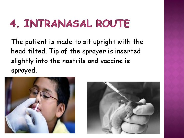 4. INTRANASAL ROUTE The patient is made to sit upright with the head tilted.
