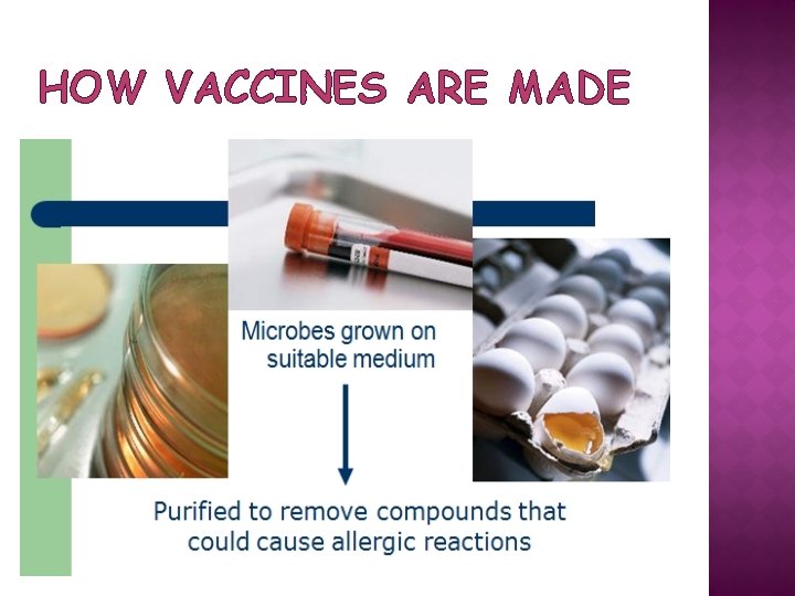 HOW VACCINES ARE MADE 