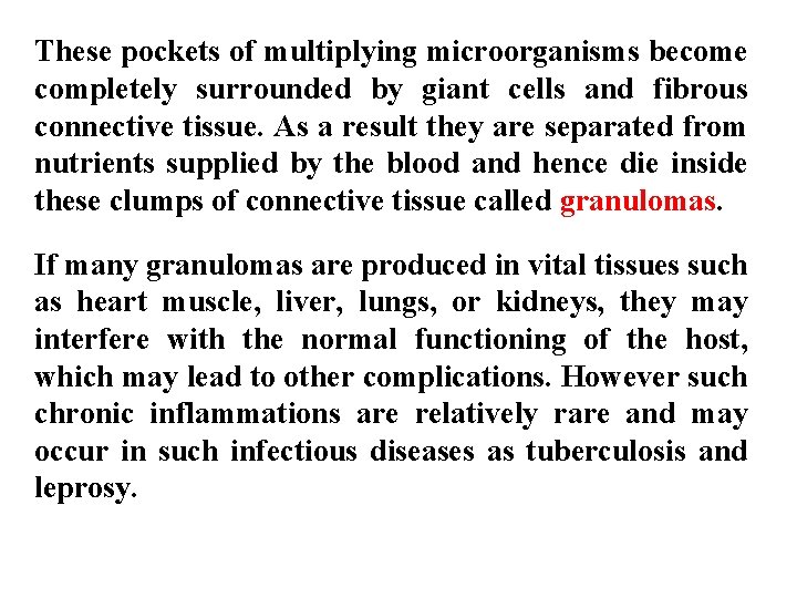 These pockets of multiplying microorganisms become completely surrounded by giant cells and fibrous connective These pockets of multiplying microorganisms become completely surrounded by giant cells and fibrous connective
