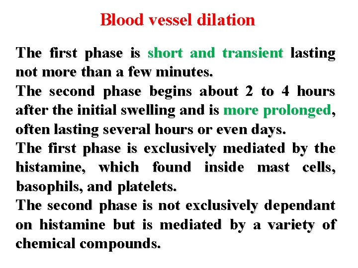 Blood vessel dilation The first phase is short and transient lasting not more than Blood vessel dilation The first phase is short and transient lasting not more than