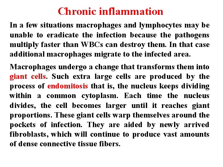 Chronic inflammation In a few situations macrophages and lymphocytes may be unable to eradicate Chronic inflammation In a few situations macrophages and lymphocytes may be unable to eradicate
