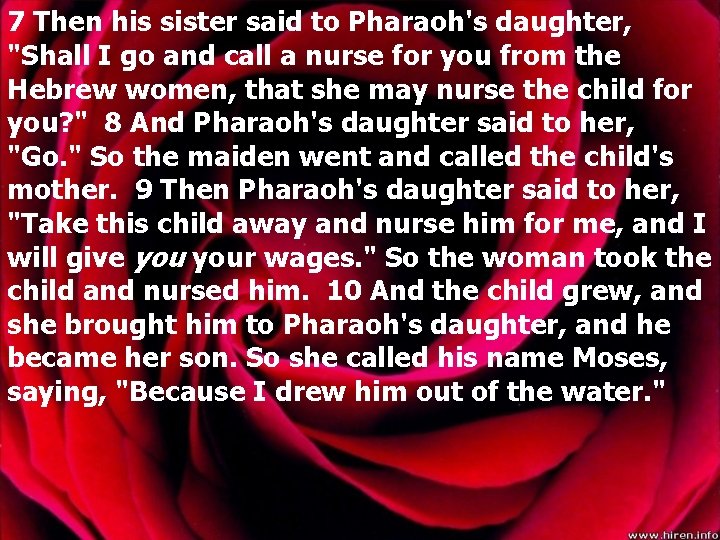 7 Then his sister said to Pharaoh's daughter, "Shall I go and call a